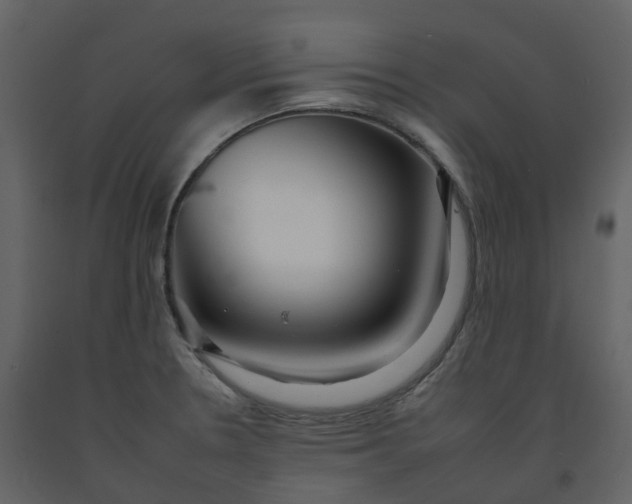 X0000092261330200710051312