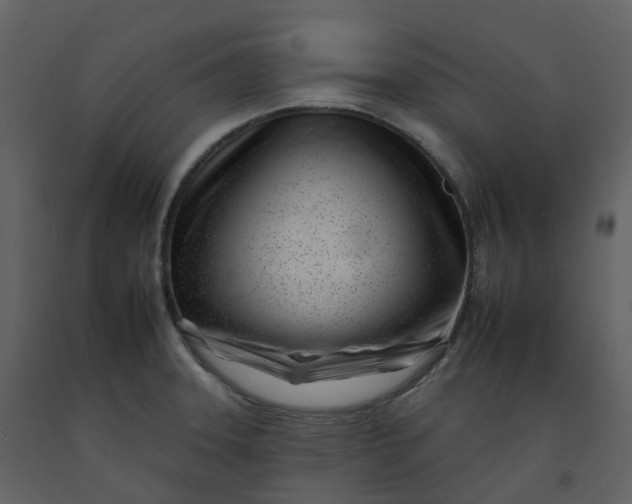 X0000092261331200710051312