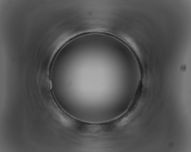 X0000092261332200710051312