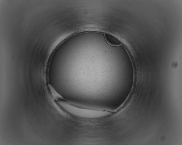 X0000092261333200710051312