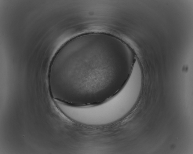 X0000092261334200710051312