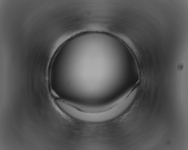 X0000092261335200710051312