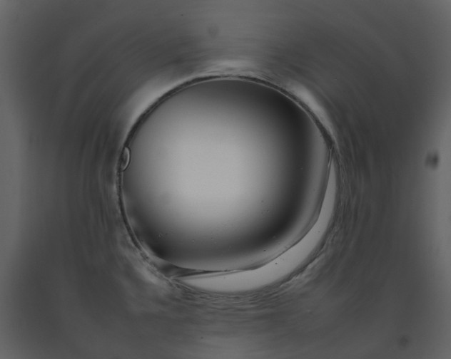 X0000092261336200710051312