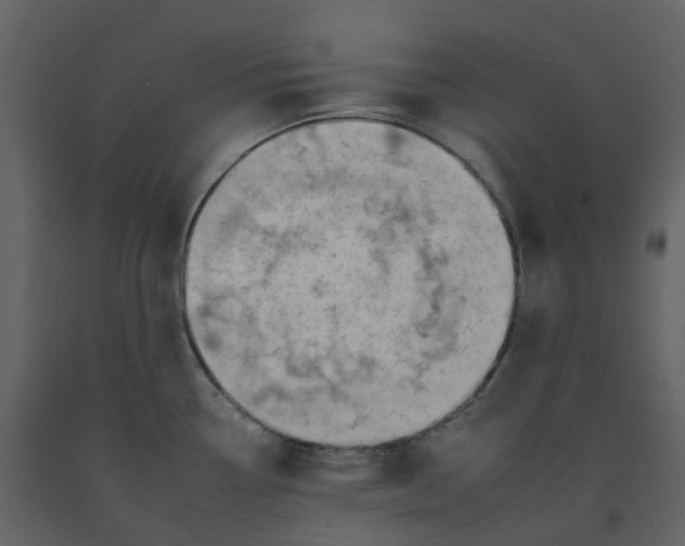 X0000092261338200710051312