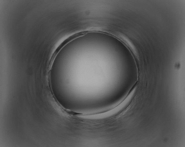 X0000092261340200710051312