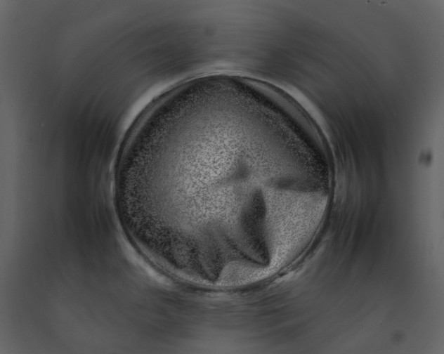 X0000092261341200710051312