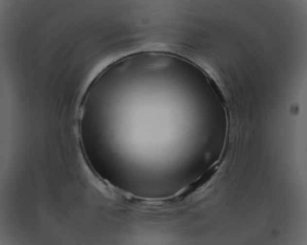 X0000092261342200710051312