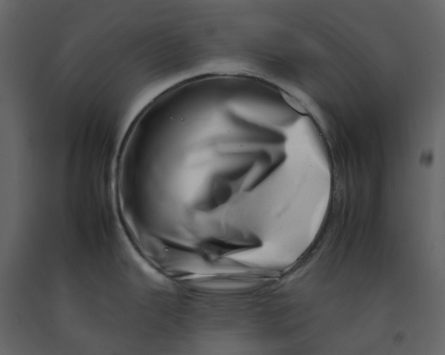 X0000092261343200710051312