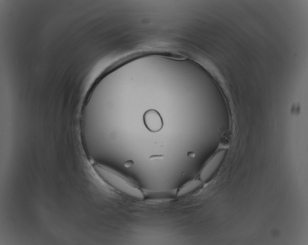 X0000092261344200710051312