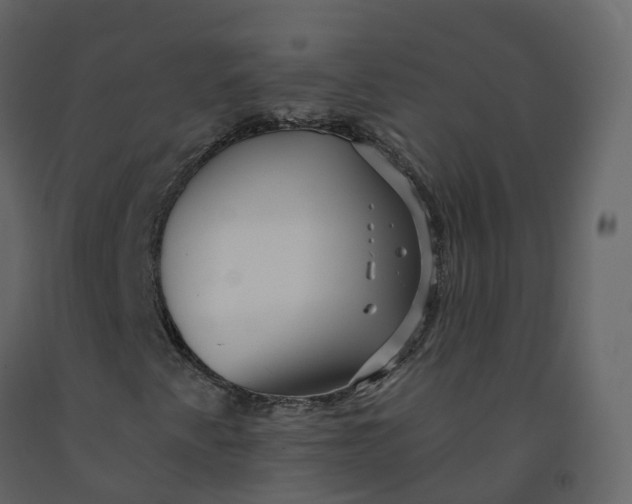 X0000092261345200710051311