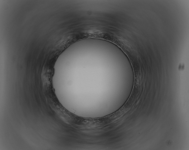 X0000092261346200710051311