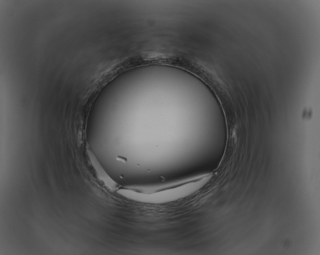 X0000092261348200710051311