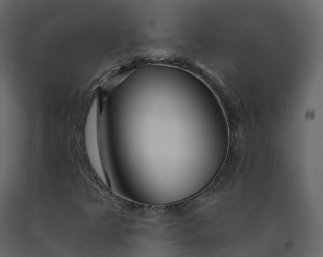 X0000092261349200710051311