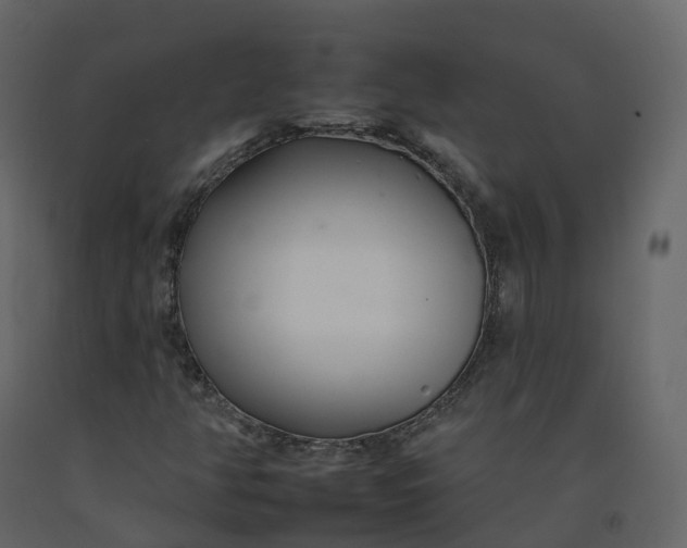 X0000092261350200710051311