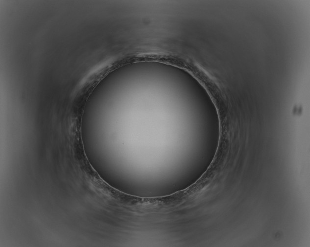 X0000092261351200710051311