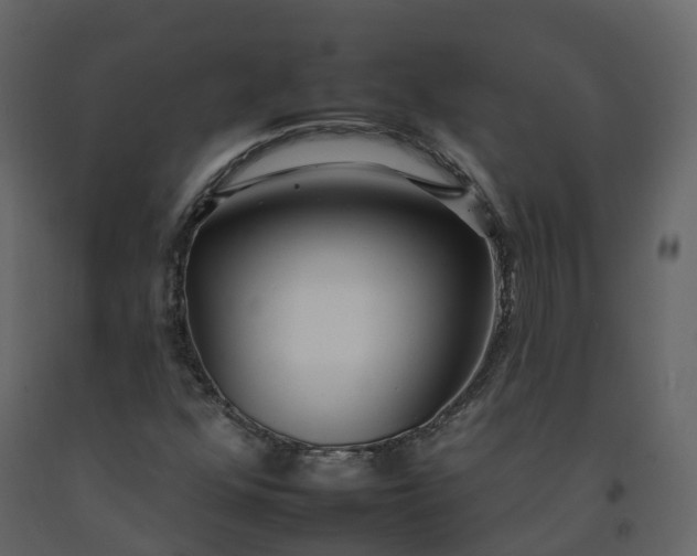 X0000092261352200710051311