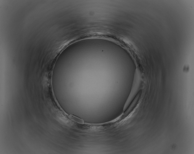 X0000092261353200710051311