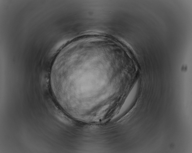 X0000092261355200710051311