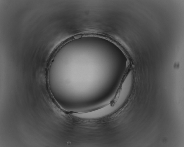 X0000092261356200710051311