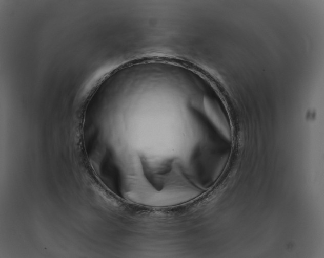 X0000092261359200710051311