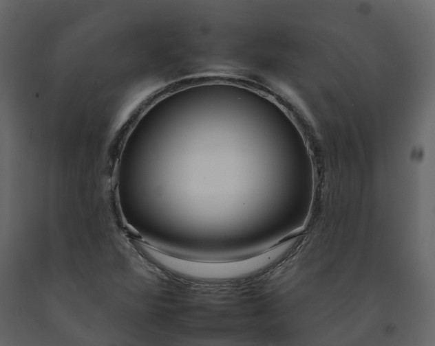 X0000092261360200710051311