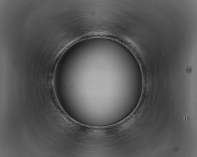 X0000092261361200710051311