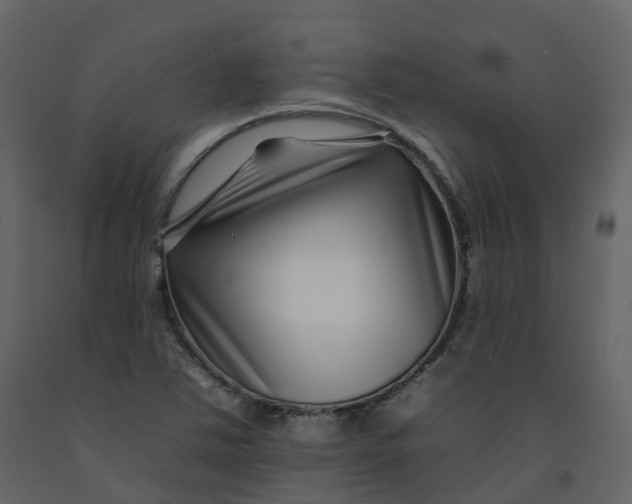 X0000092261363200710051311