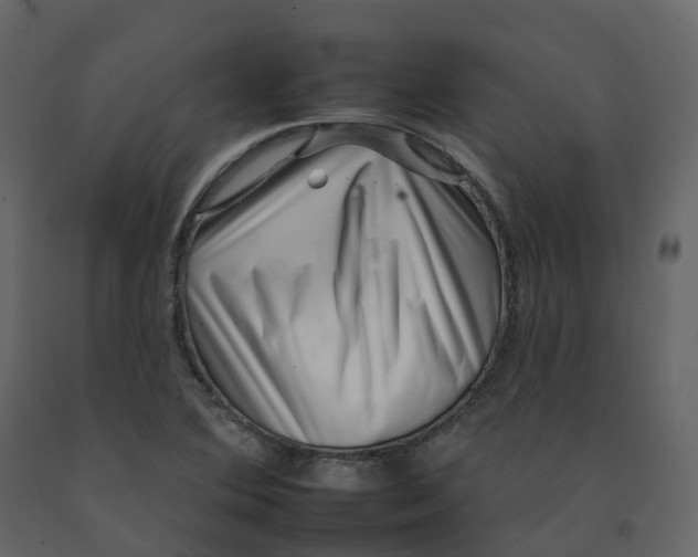 X0000092261364200710051311