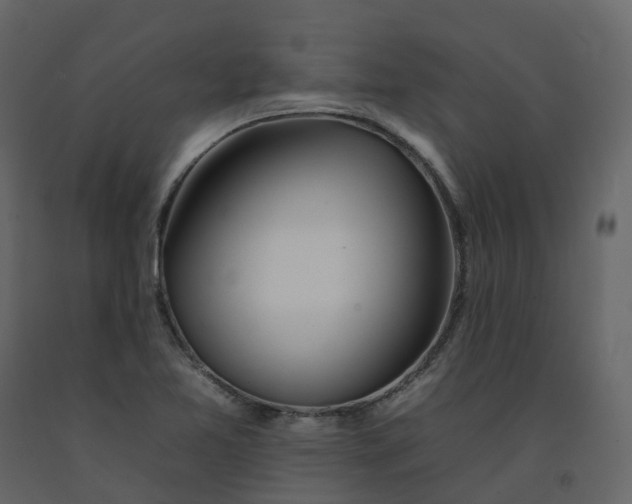 X0000092261365200710051311