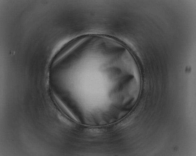 X0000092261366200710051311