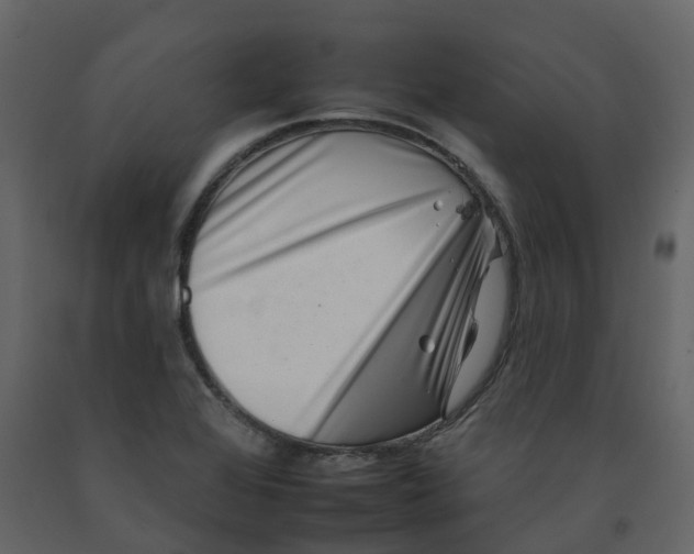 X0000092261368200710051311