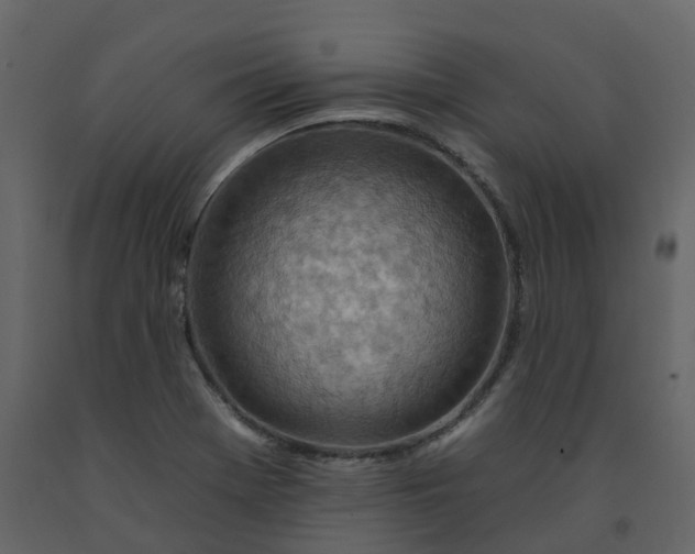 X0000092261369200710051311