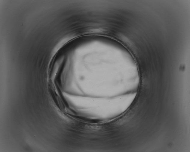 X0000092261370200710051311