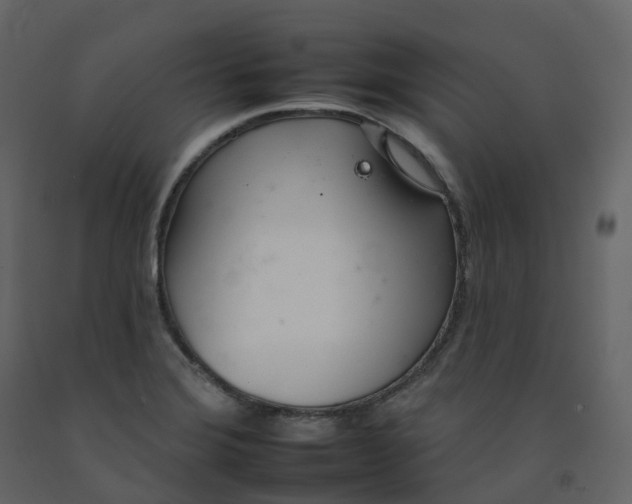 X0000092261372200710051311