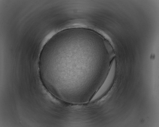 X0000092261373200710051311