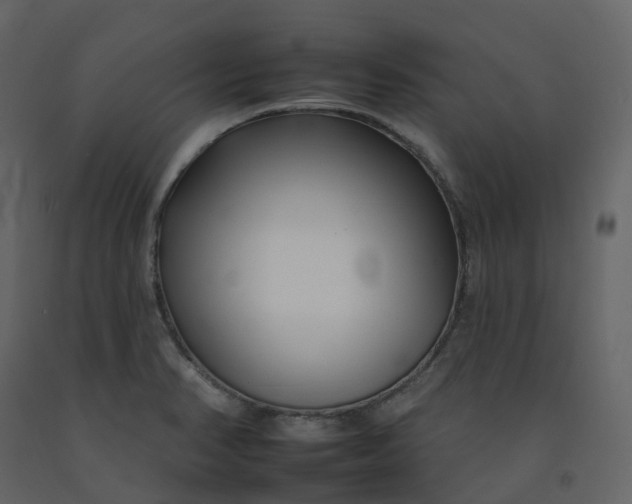 X0000092261374200710051311