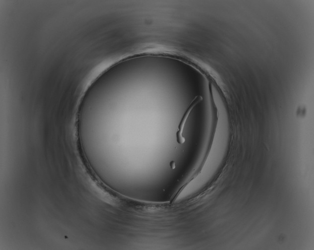 X0000092261375200710051311