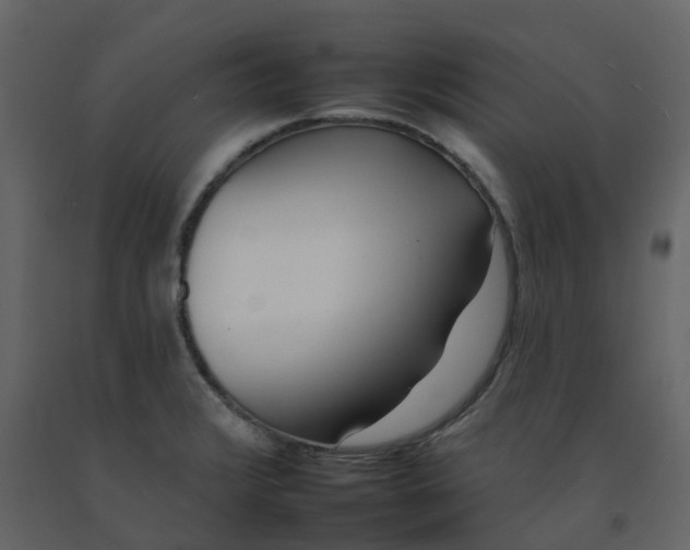 X0000092261376200710051311