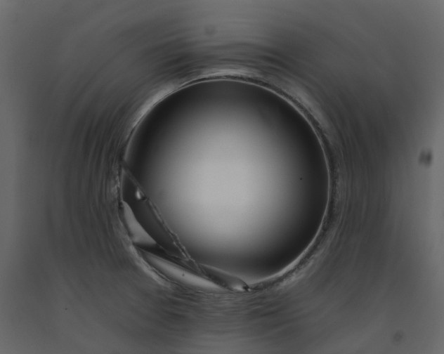 X0000092261377200710051311