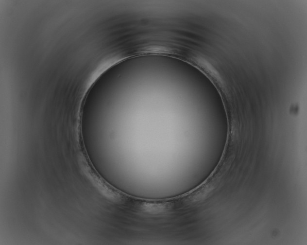 X0000092261378200710051311