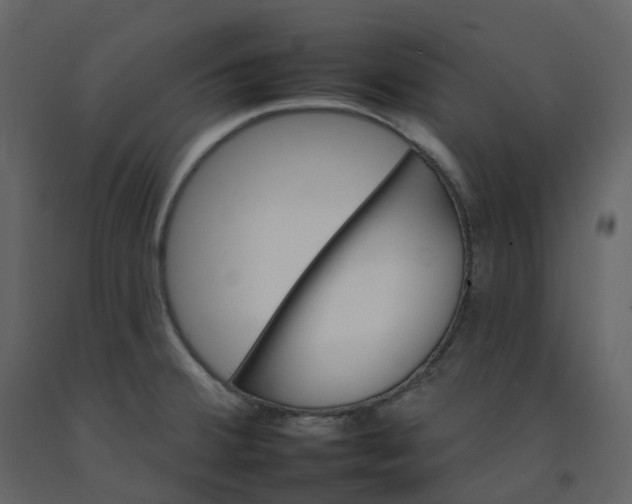 X0000092261380200710051311