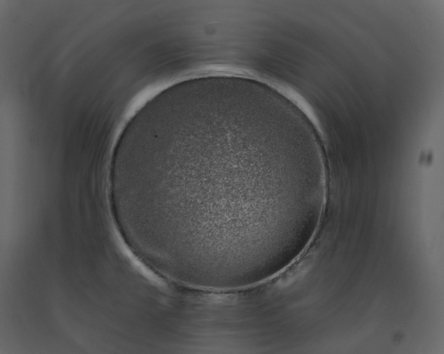 X0000092261381200710051311