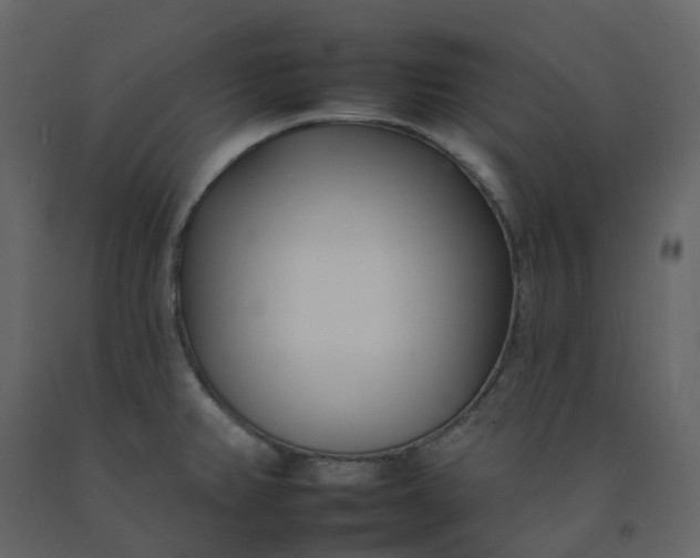 X0000092261382200710051311