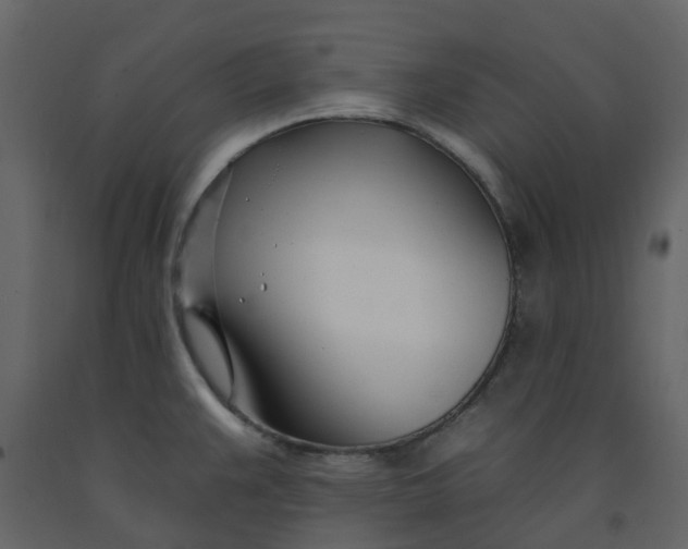 X0000092261383200710051311