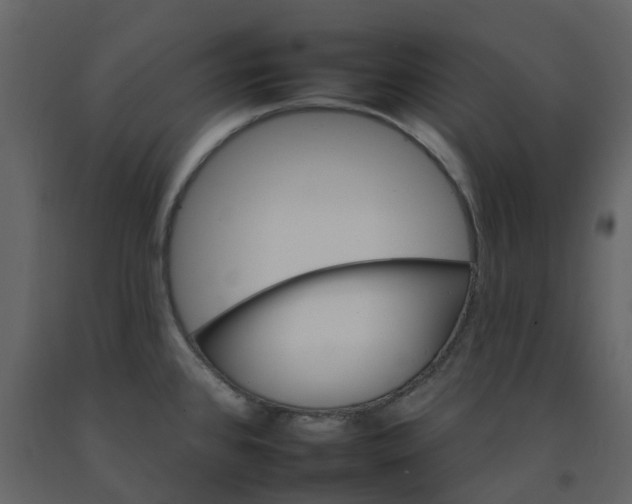 X0000092261384200710051311