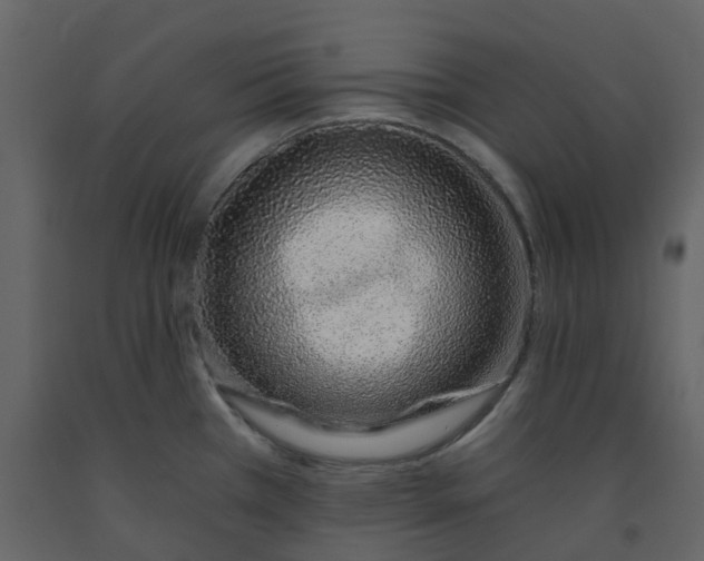 X0000092261385200710051311