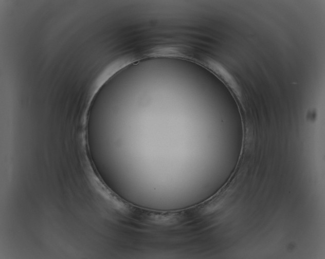 X0000092261386200710051311