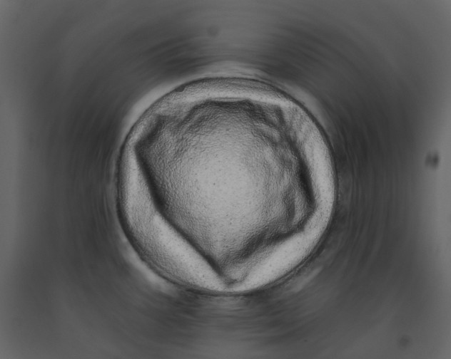 X0000092261387200710051311