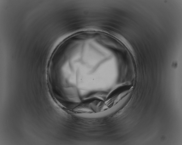 X0000092261388200710051311