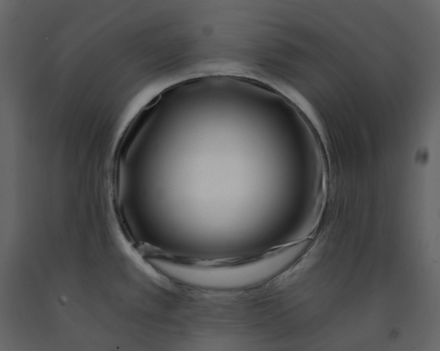 X0000092261389200710051311